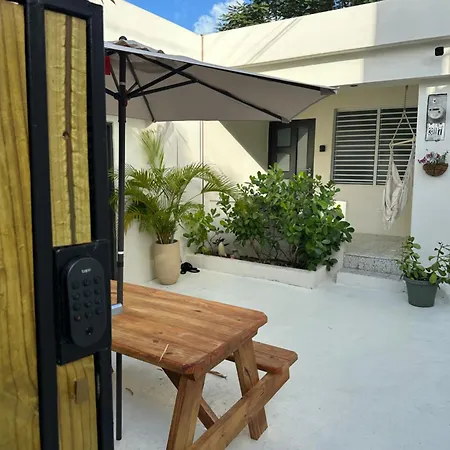 Tropical Studio-2