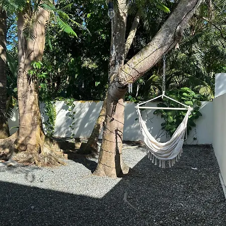 Tropical Studio-3